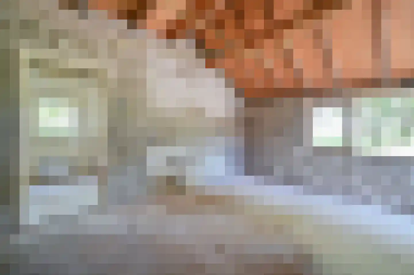 Rijnsteeg 2 Bennekom thumbnail 39