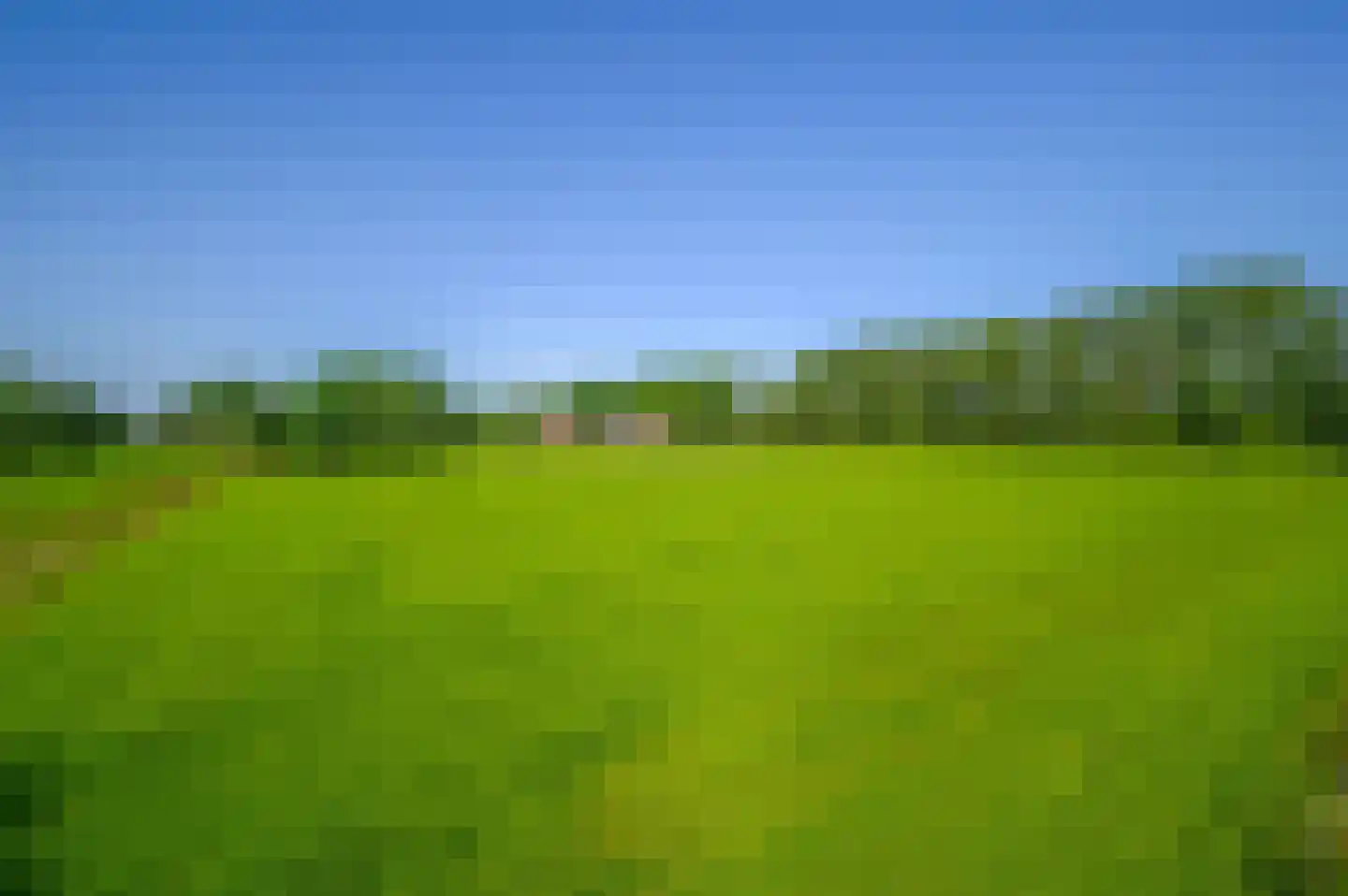 Rijnsteeg 2 Bennekom thumbnail 4