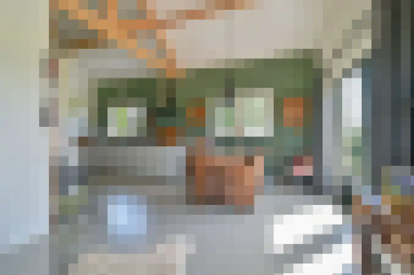 Rijnsteeg 2 Bennekom thumbnail 41