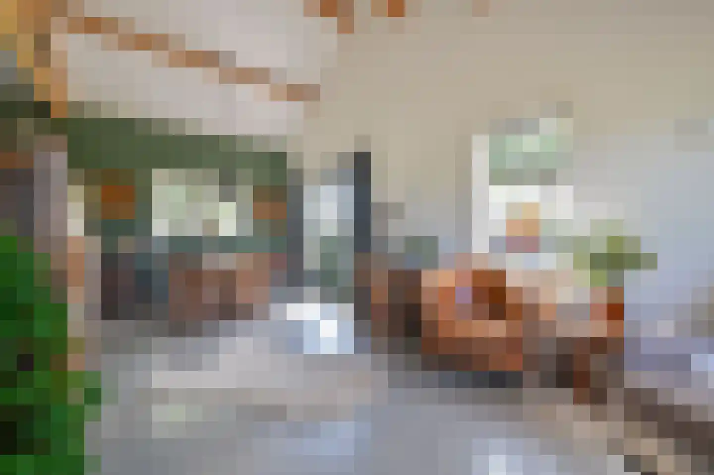 Rijnsteeg 2 Bennekom thumbnail 44