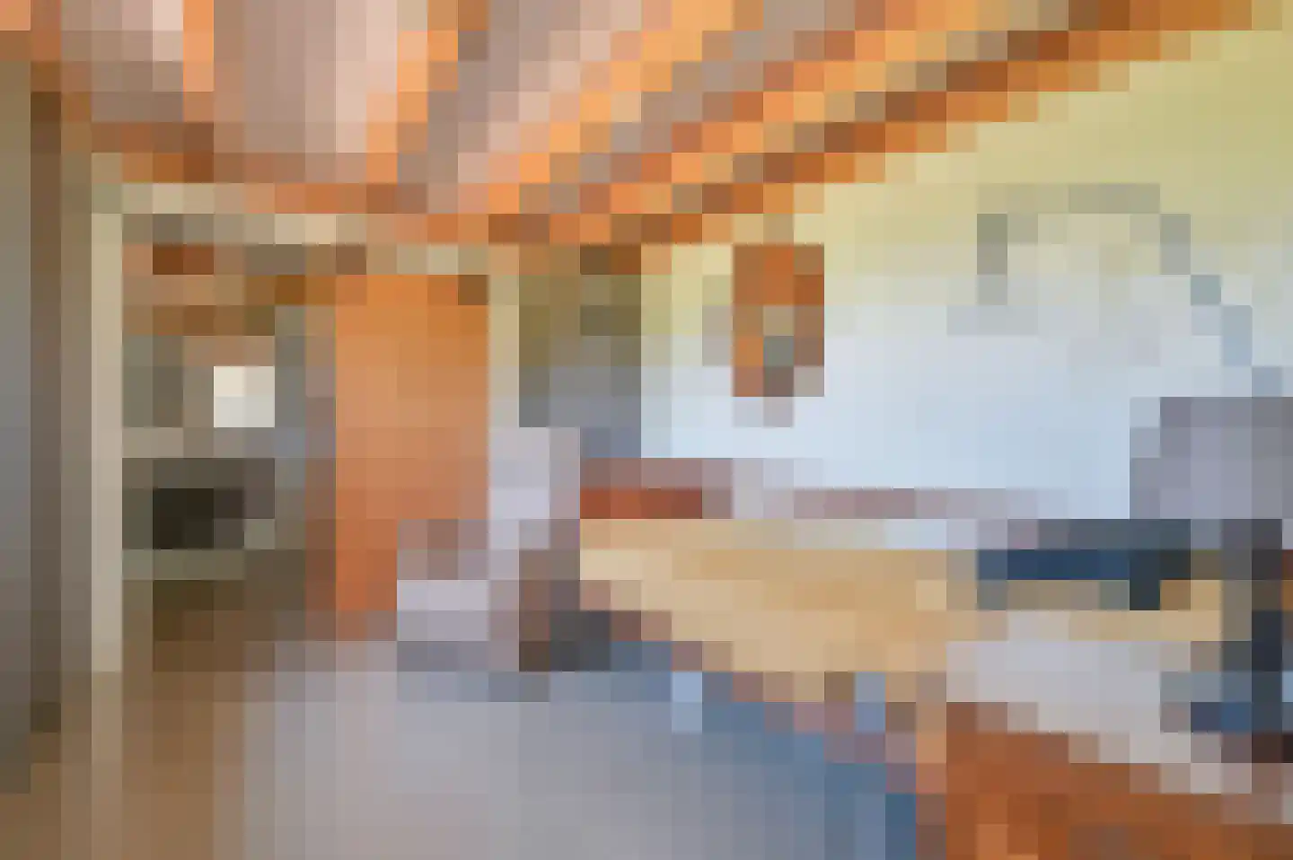 Rijnsteeg 2 Bennekom thumbnail 46