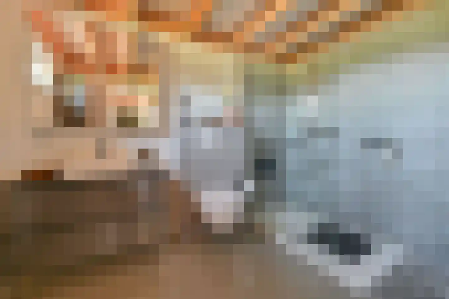 Rijnsteeg 2 Bennekom thumbnail 47