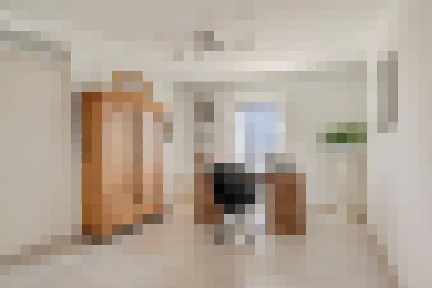 Rijnstraat 1 47 Tolkamer thumbnail 11