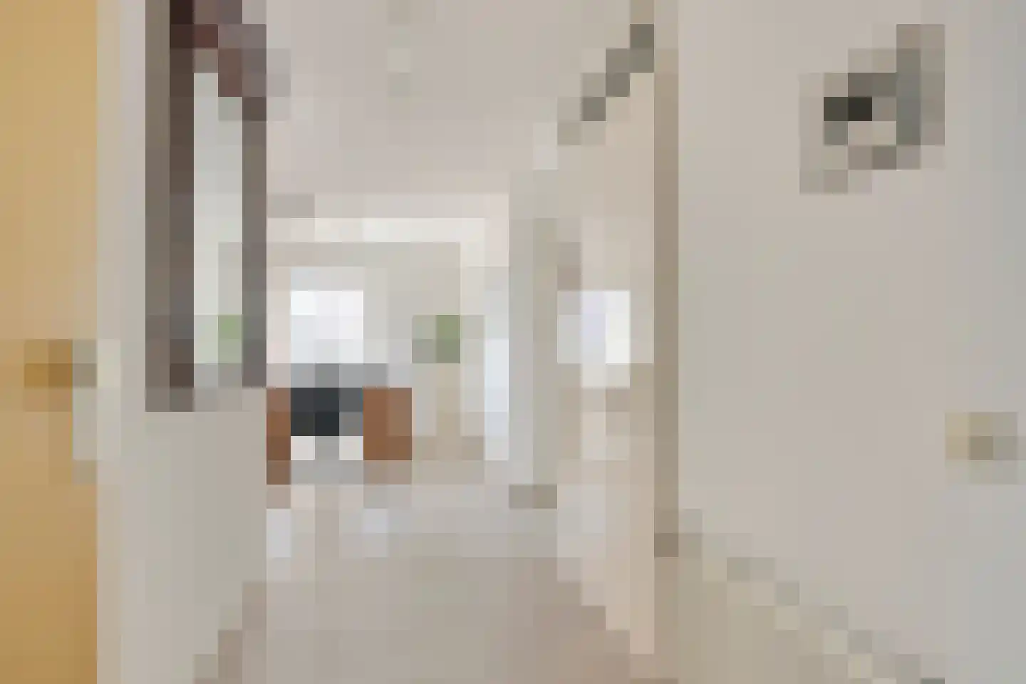 Rijnstraat 1 47 Tolkamer thumbnail 15