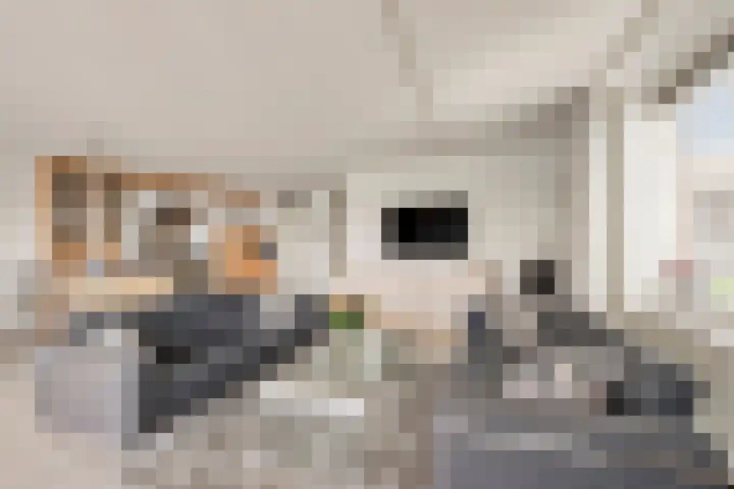 Rijnstraat 1 47 Tolkamer thumbnail 18