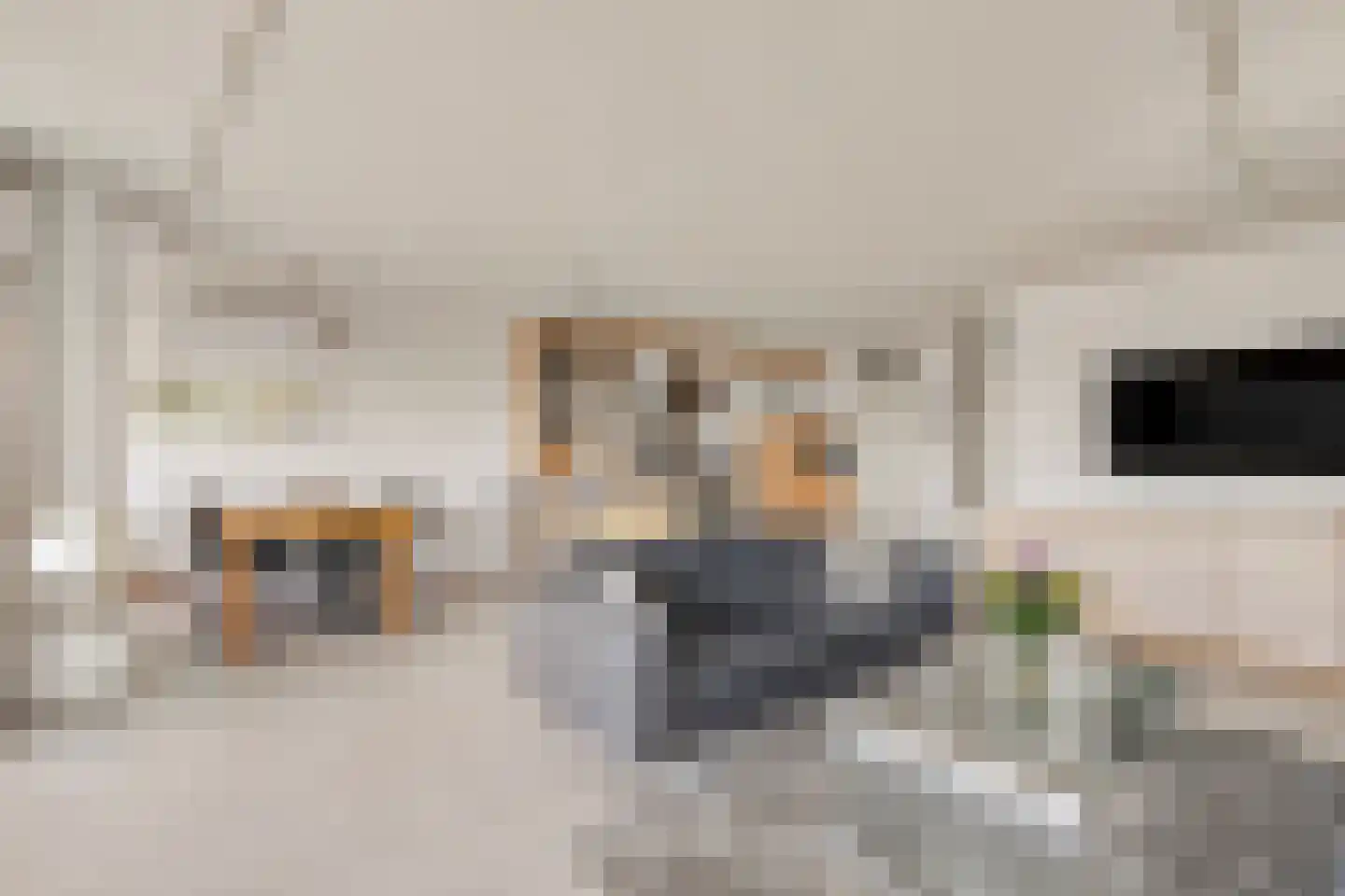 Rijnstraat 1 47 Tolkamer thumbnail 19