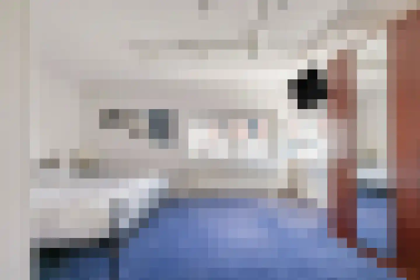 Rijnstraat 1 47 Tolkamer thumbnail 24
