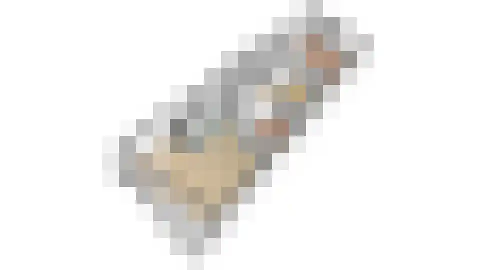 Rijnstraat 1 47 Tolkamer thumbnail 37