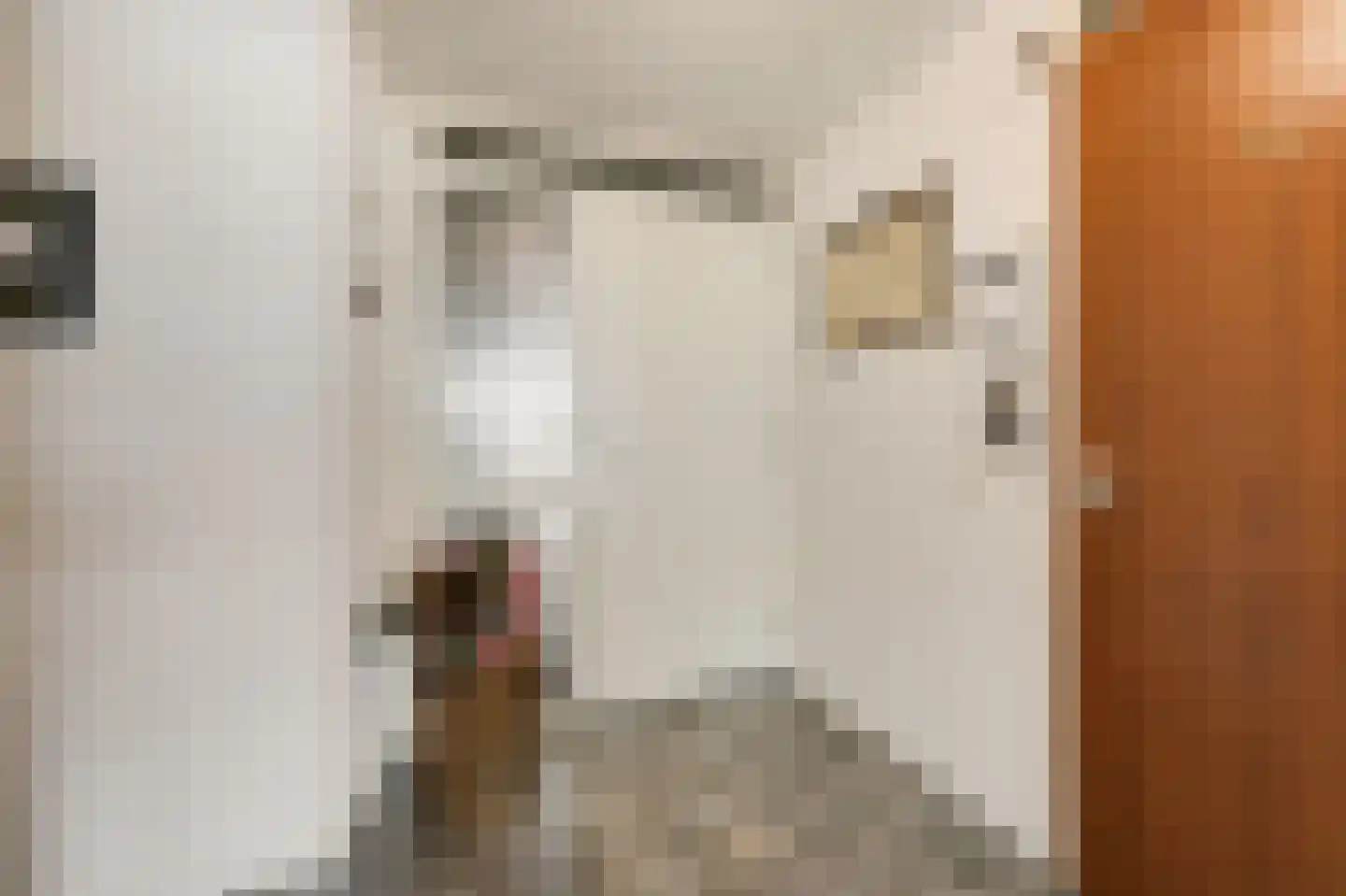 Rijnstraat 1 61 Tolkamer thumbnail 22