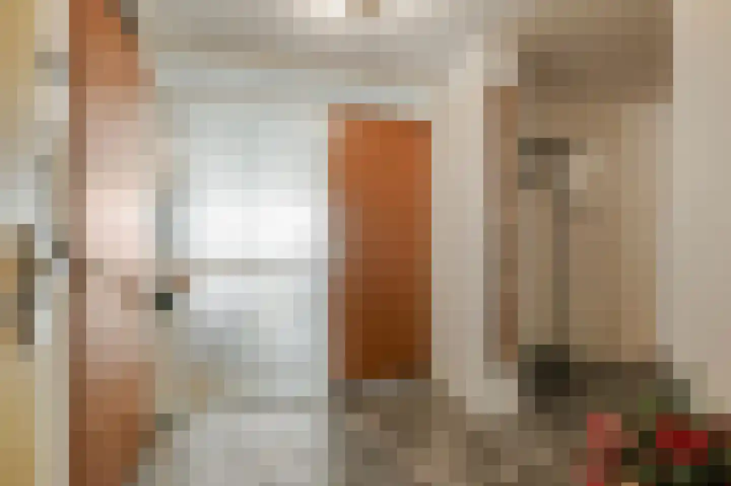 Rijnstraat 1 61 Tolkamer thumbnail 24