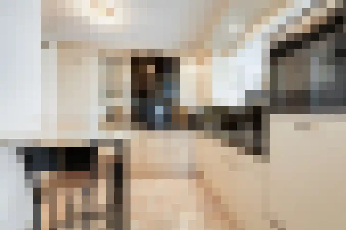 Rijnstraat 1 61 Tolkamer thumbnail 25