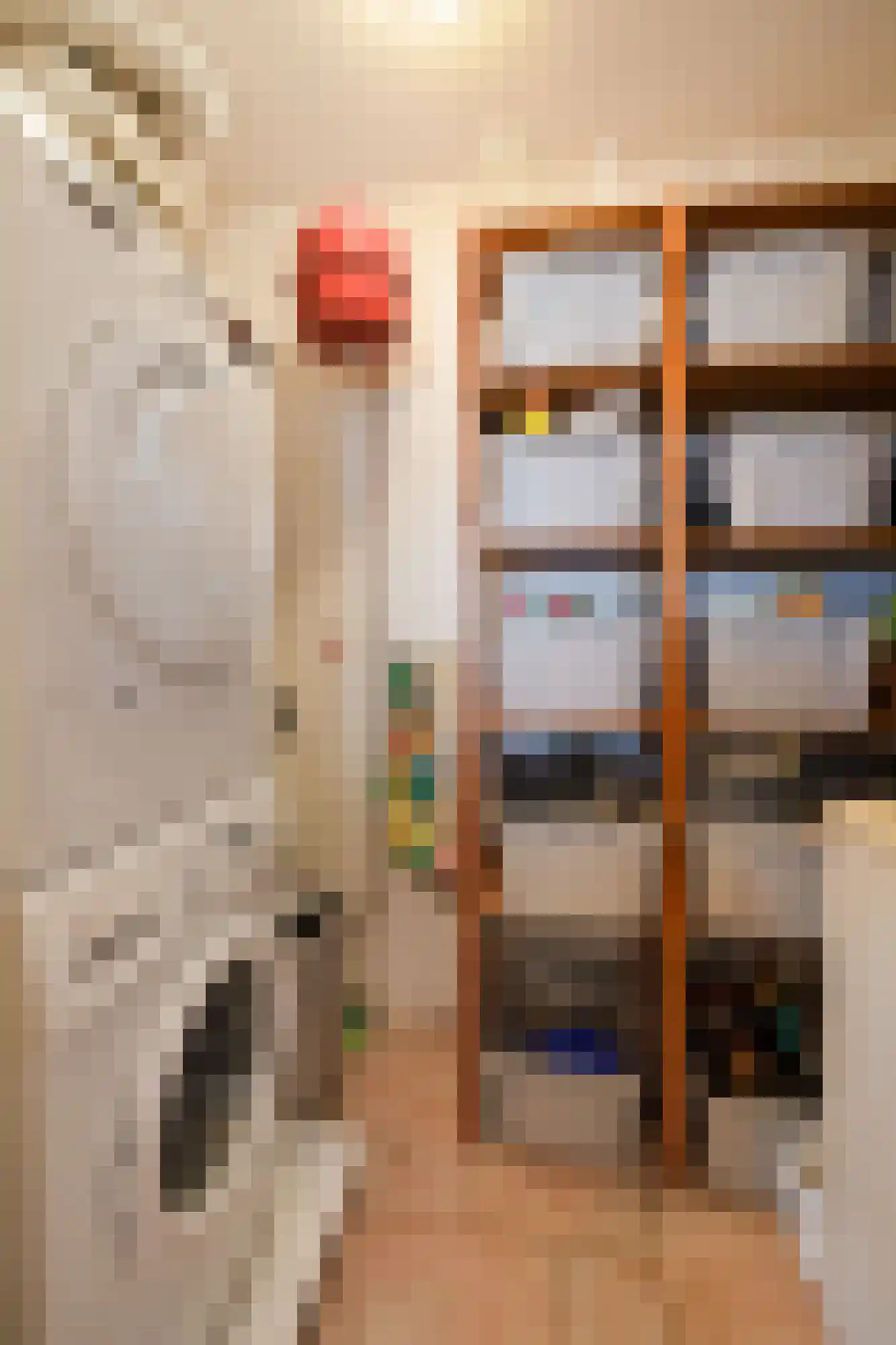 Rijnstraat 1 61 Tolkamer thumbnail 27