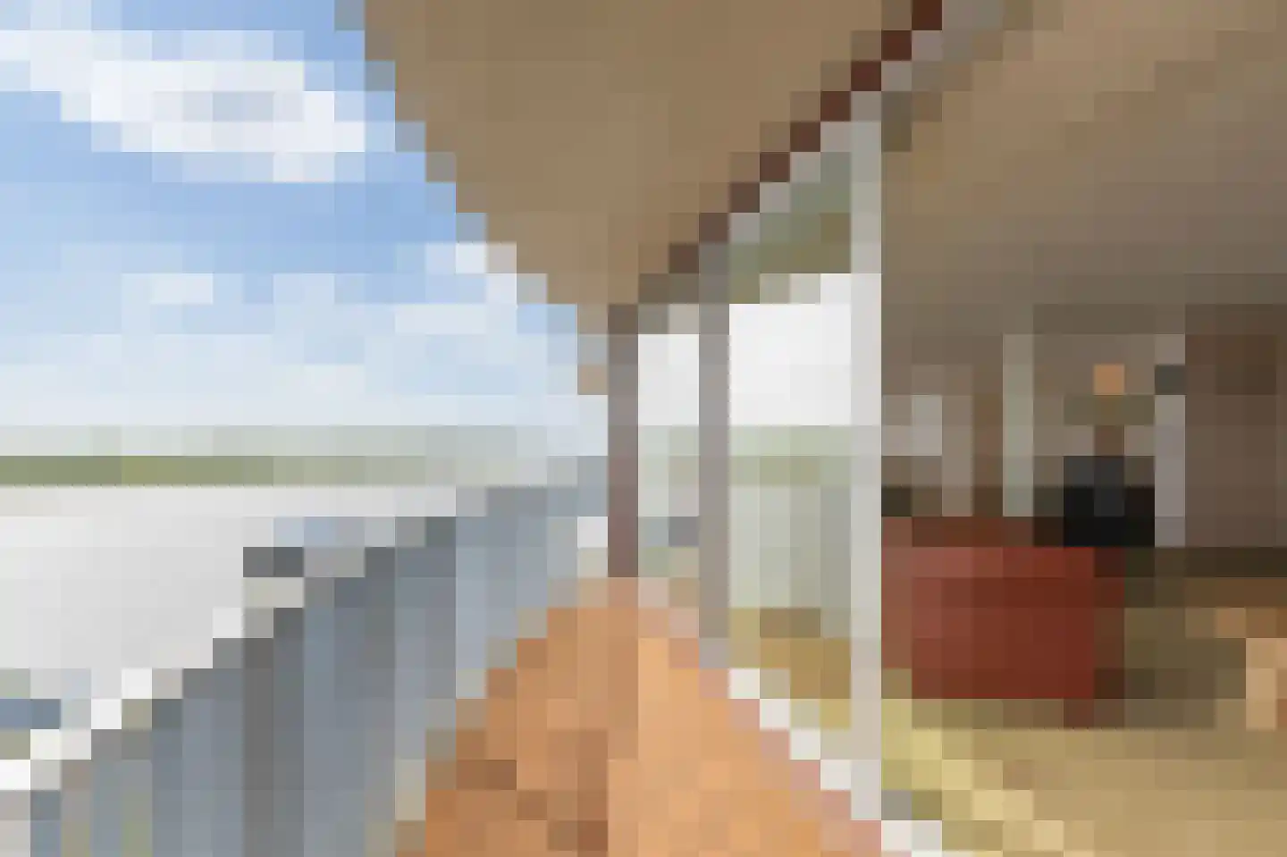 Rijnstraat 1 61 Tolkamer thumbnail 33