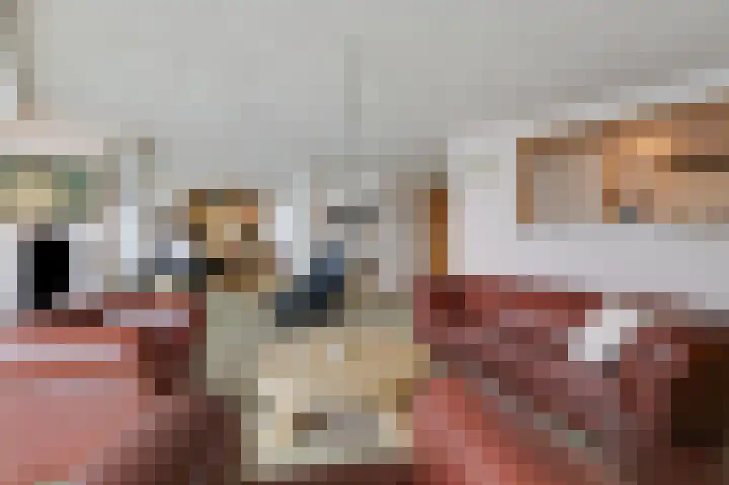 Rijnstraat 1 61 Tolkamer thumbnail 37