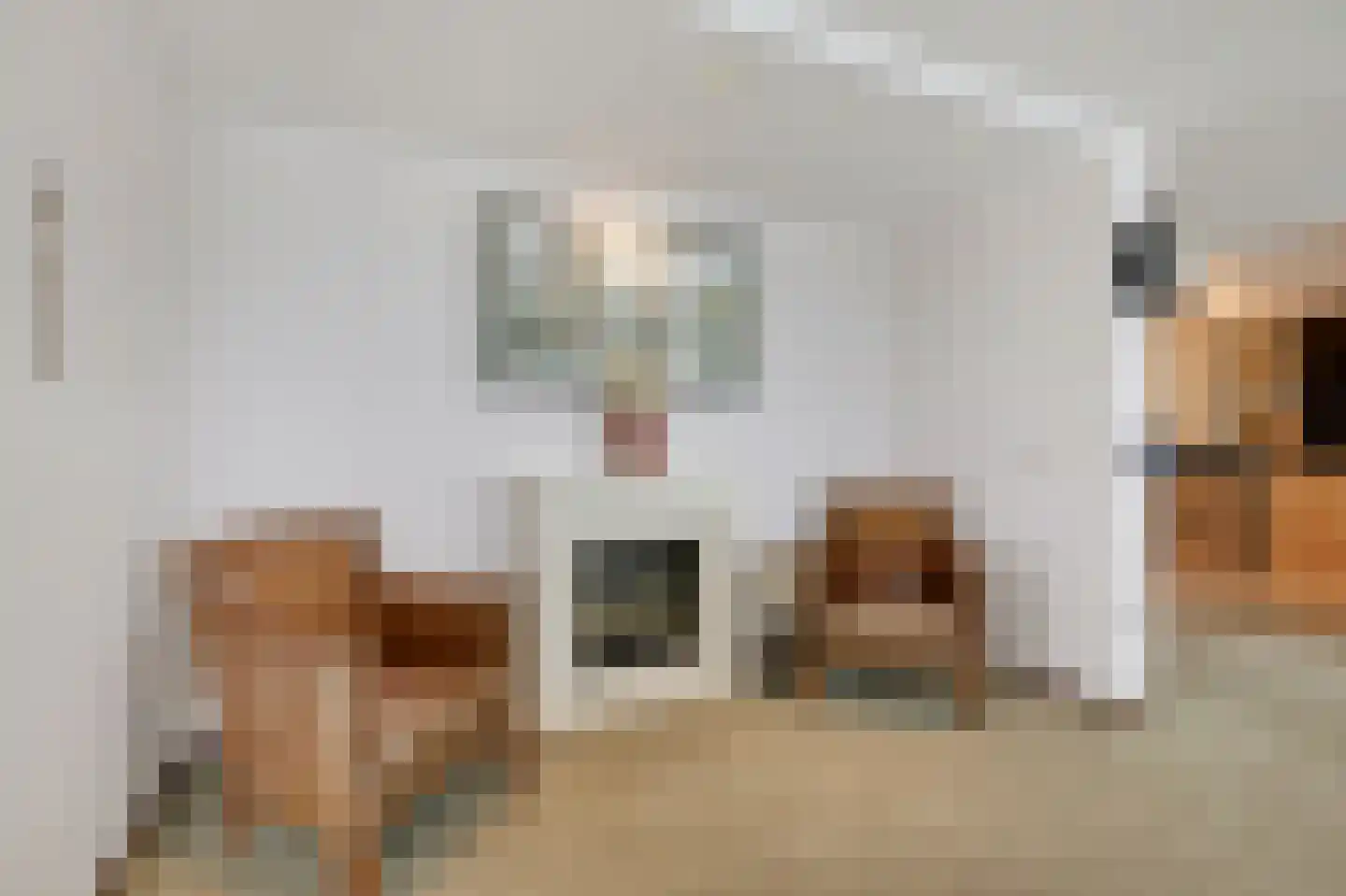 Rijnstraat 1 61 Tolkamer thumbnail 38