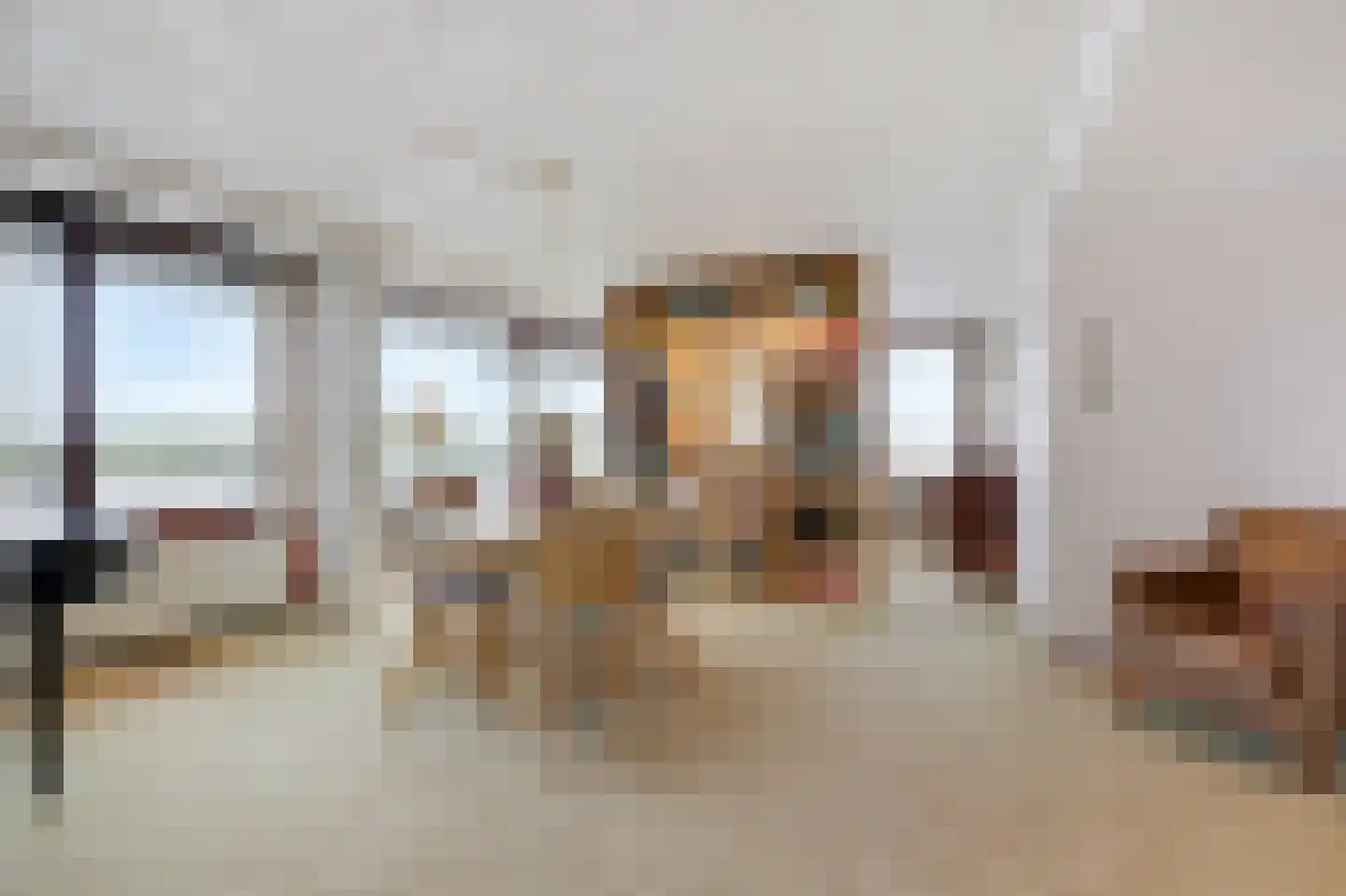 Rijnstraat 1 61 Tolkamer thumbnail 39