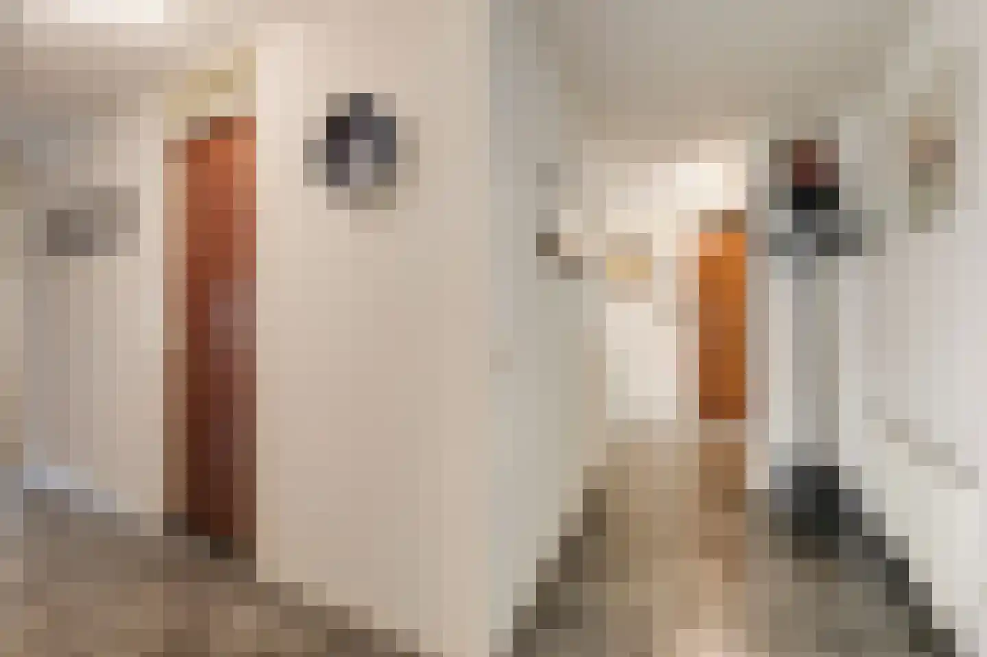Rijnstraat 1 61 Tolkamer thumbnail 50