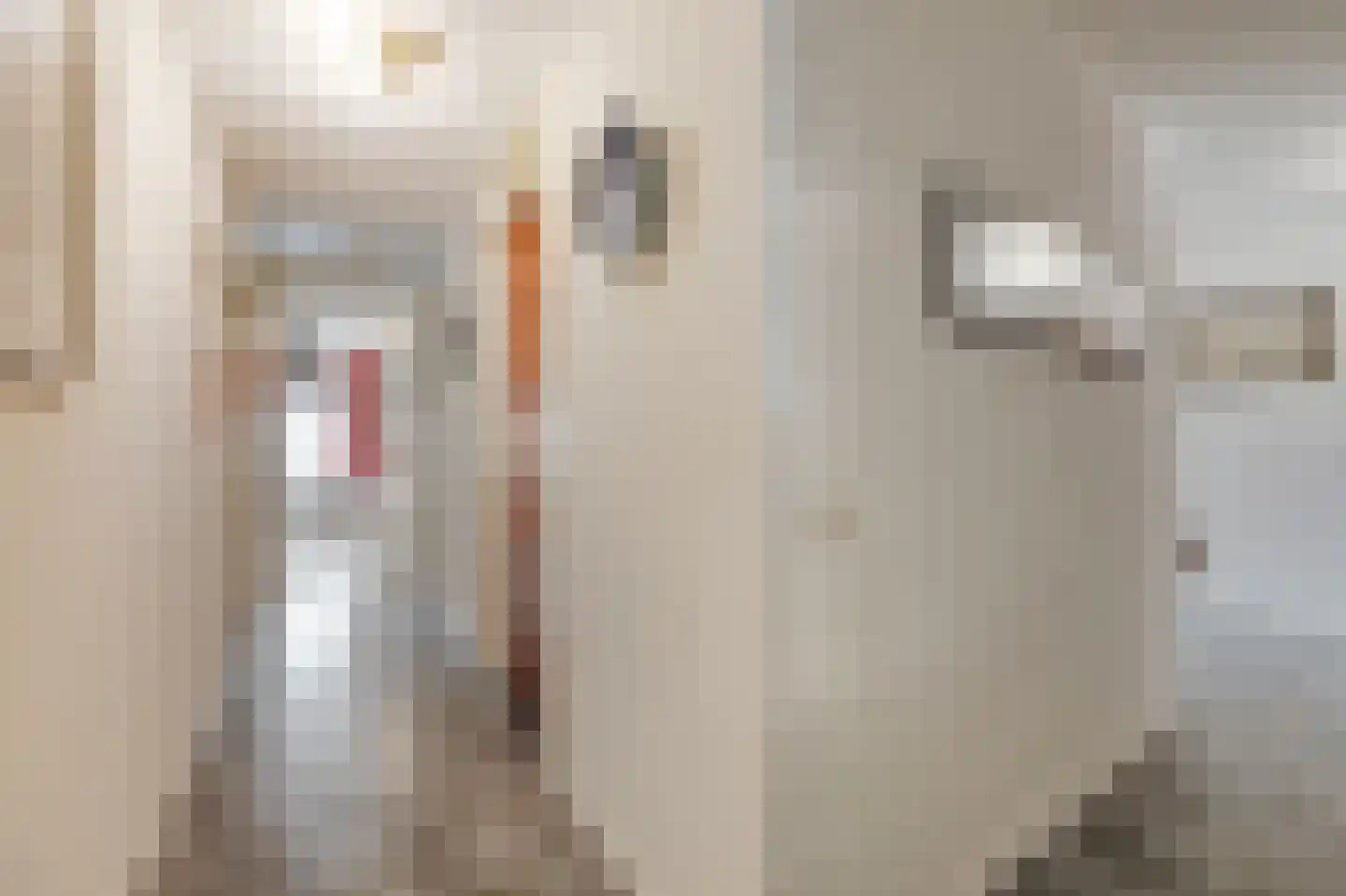 Rijnstraat 1 61 Tolkamer thumbnail 51