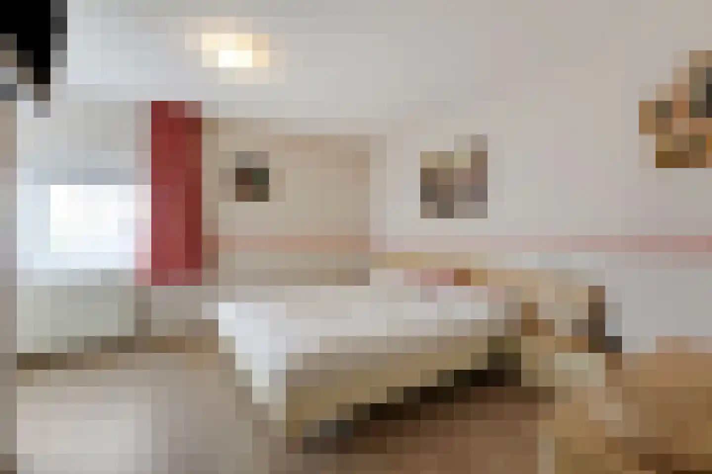 Rijnstraat 1 61 Tolkamer thumbnail 52