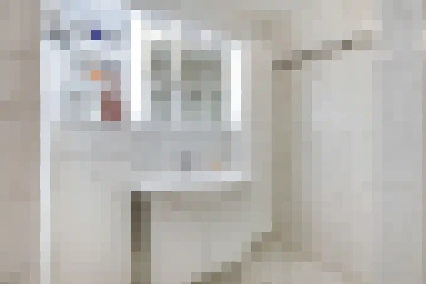 Rijnstraat 1 61 Tolkamer thumbnail 61