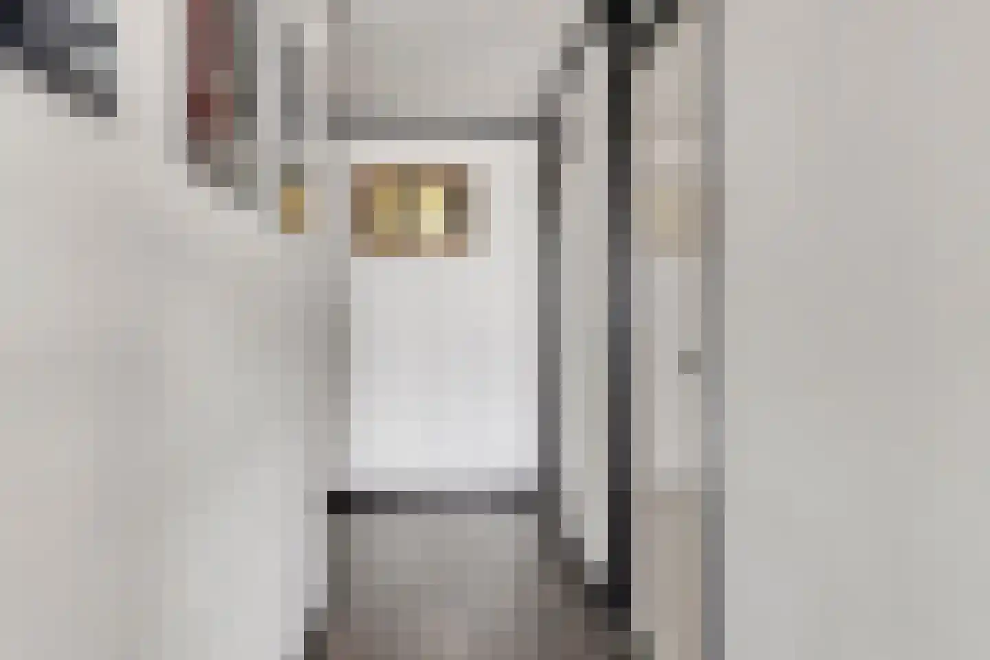 Rijnstraat 1 63 Tolkamer thumbnail 25