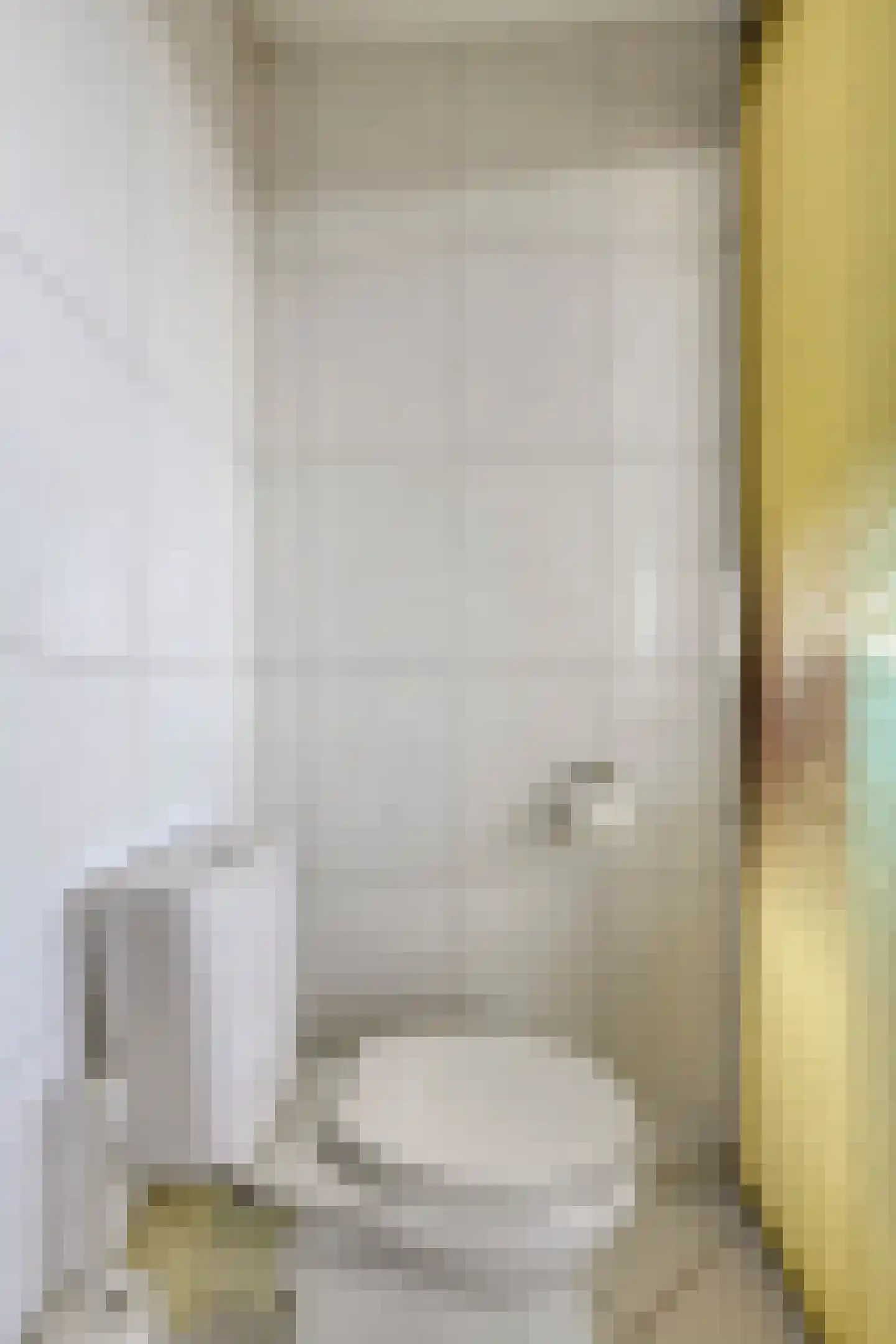 Rijnstraat 1 63 Tolkamer thumbnail 42