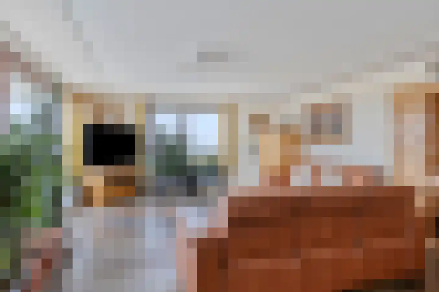 Rijnstraat 1 65 Tolkamer thumbnail 30