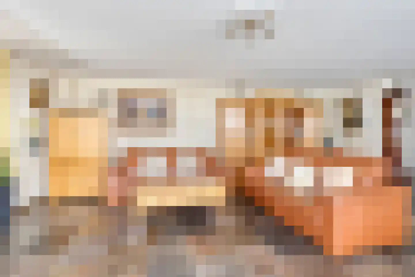 Rijnstraat 1 65 Tolkamer thumbnail 35