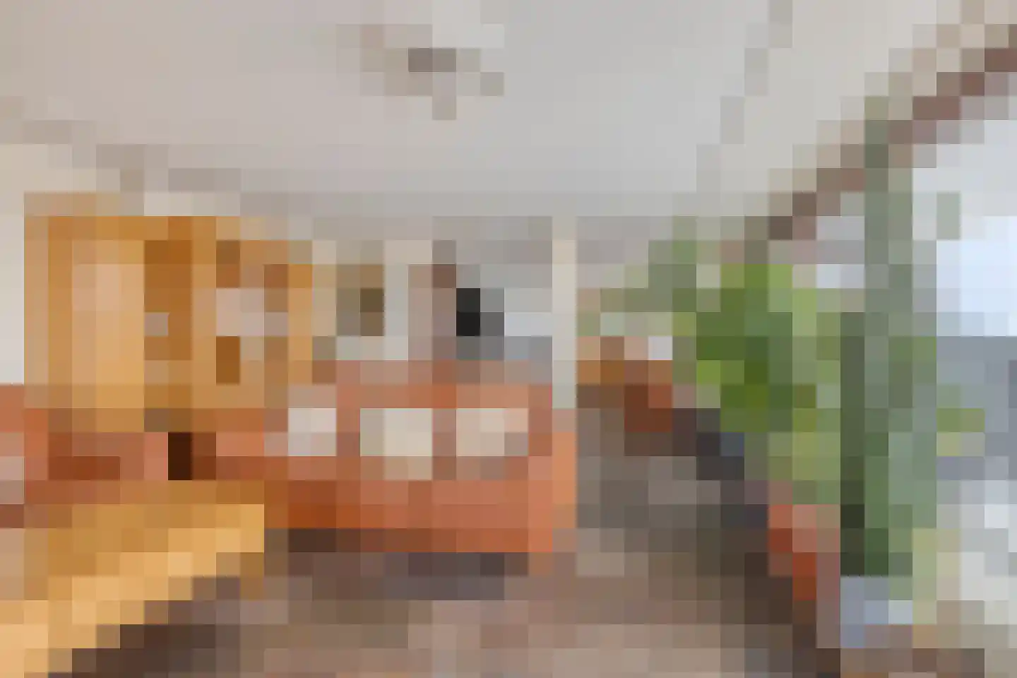 Rijnstraat 1 65 Tolkamer thumbnail 37