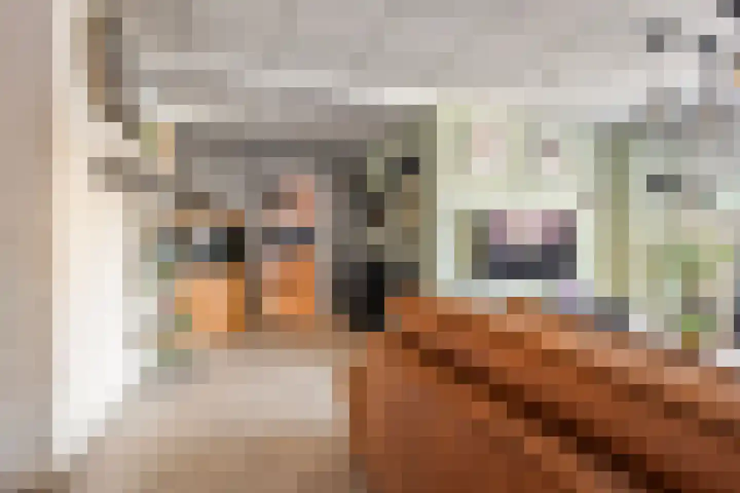Rijnstraat 1 Almelo thumbnail 10