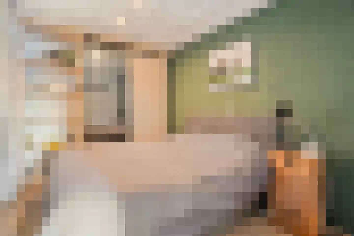Rijnstraat 1 Almelo thumbnail 13