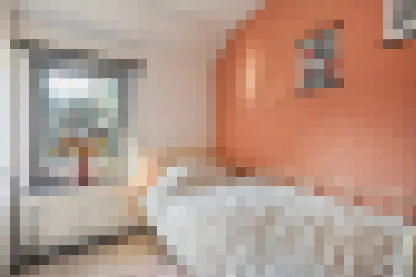 Rijnstraat 1 Almelo thumbnail 17