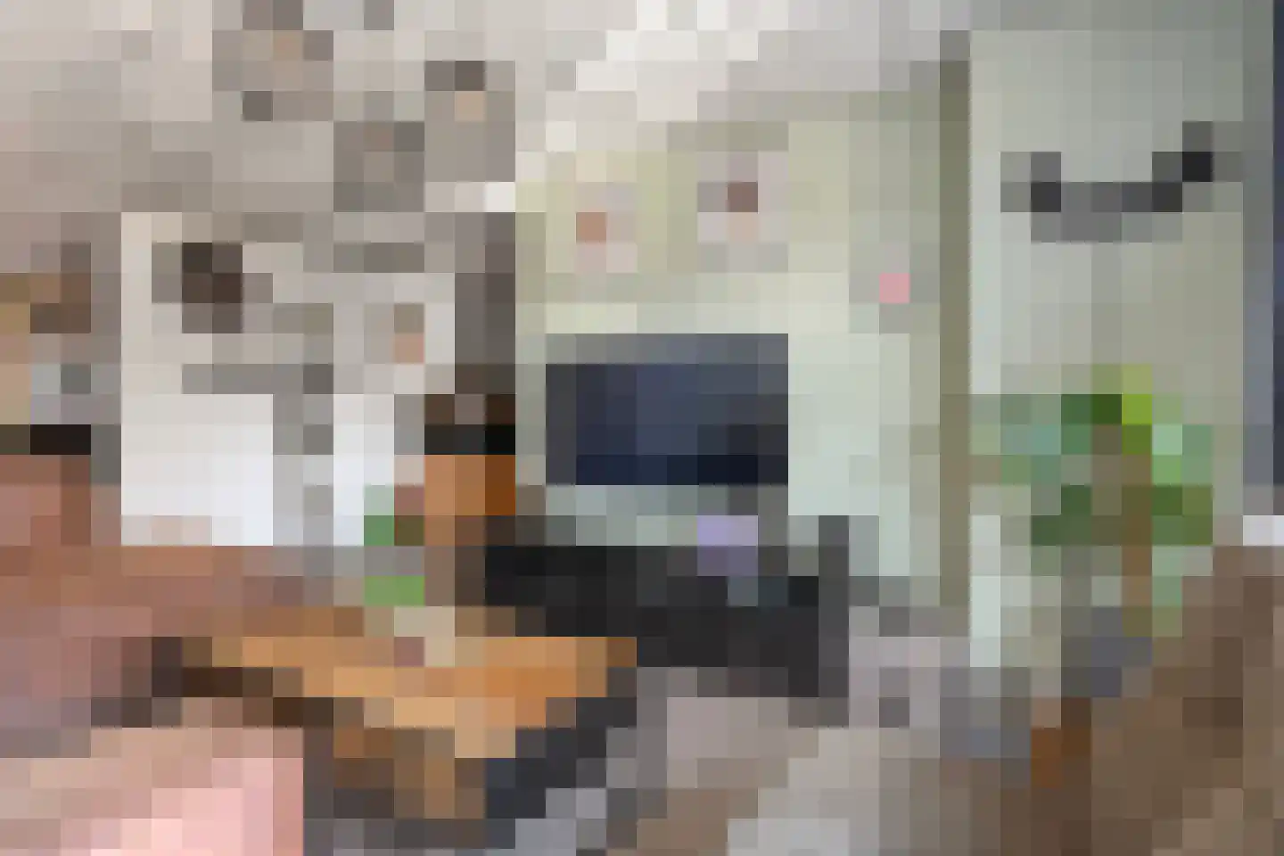 Rijnstraat 1 Almelo thumbnail 6