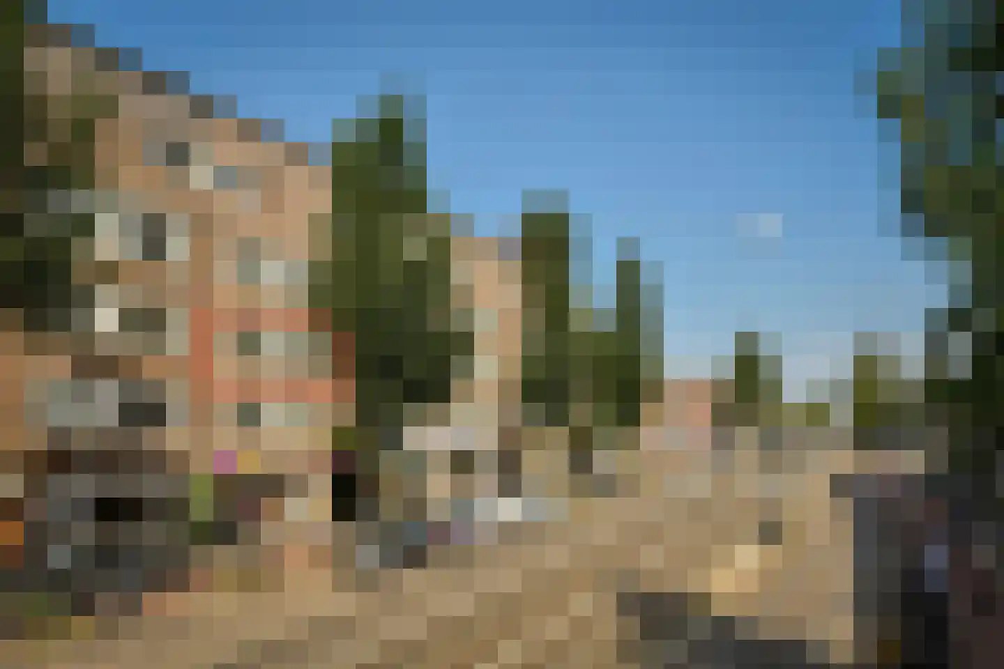 Rijnstraat 10 2 Amsterdam thumbnail 20