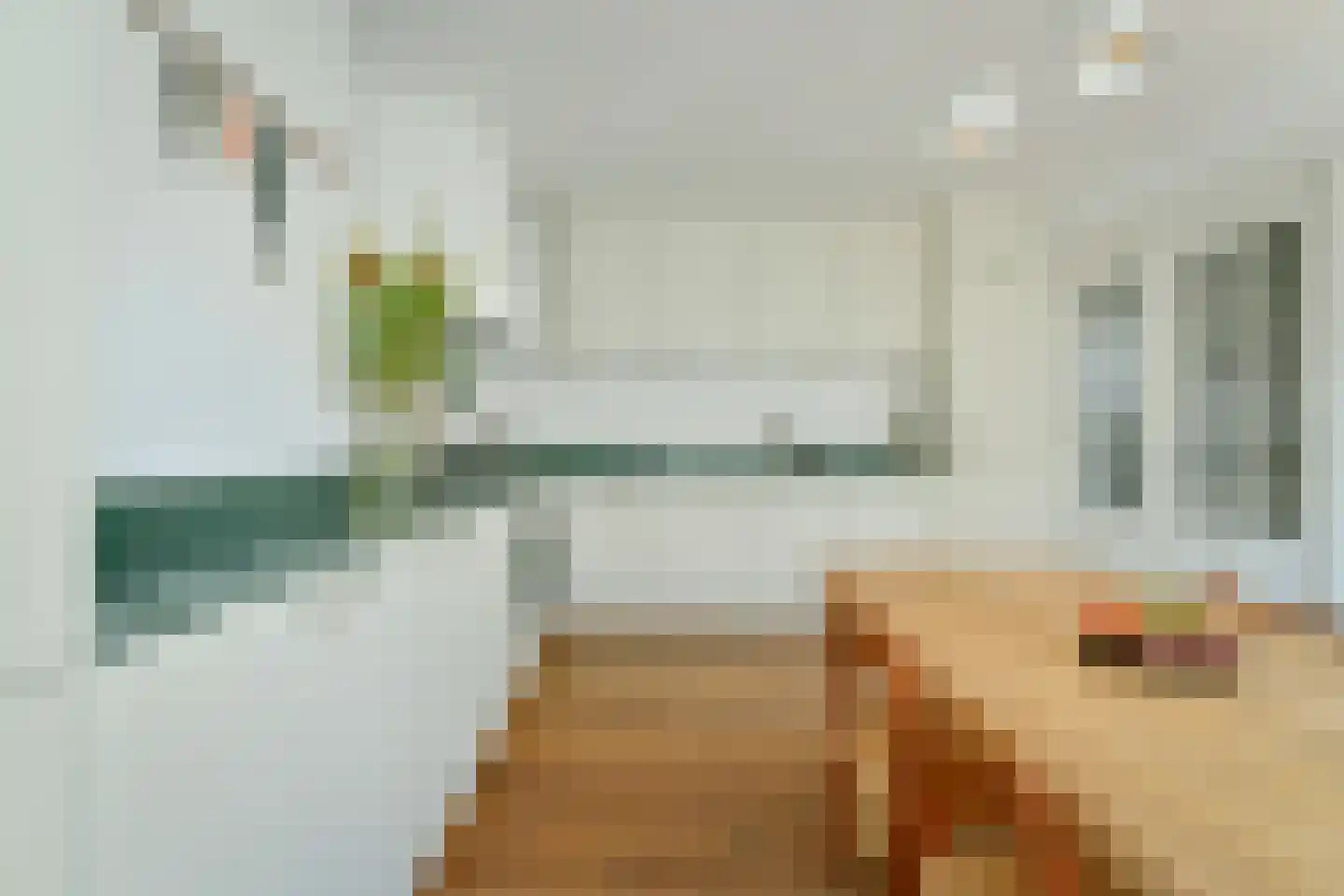 Rijnstraat 10 2 Amsterdam thumbnail 8