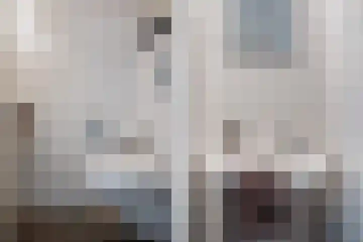 Rijnstraat 10 Alkmaar thumbnail 10