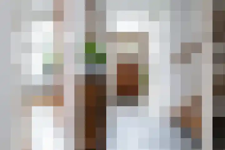 Rijnstraat 10 Alkmaar thumbnail 11