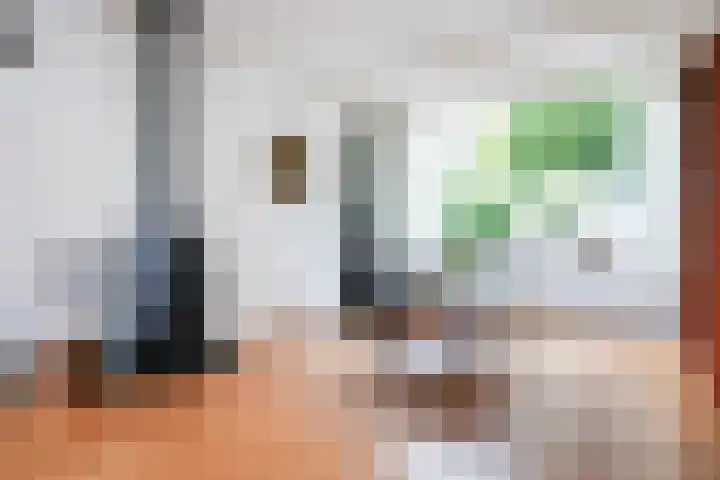 Rijnstraat 10 Alkmaar thumbnail 14