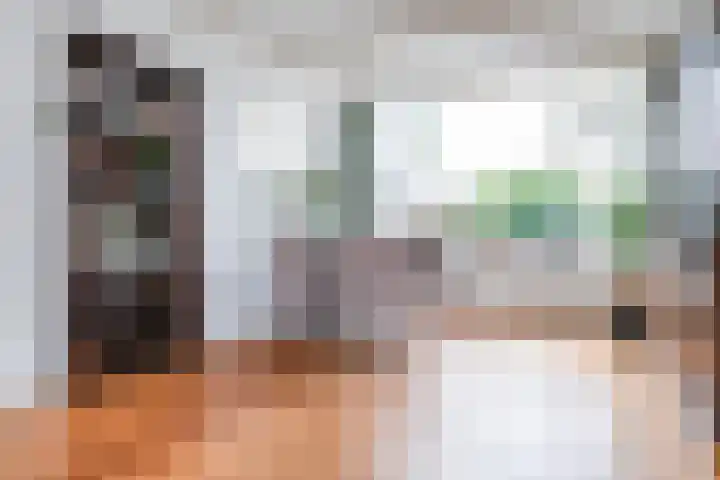 Rijnstraat 10 Alkmaar thumbnail 17