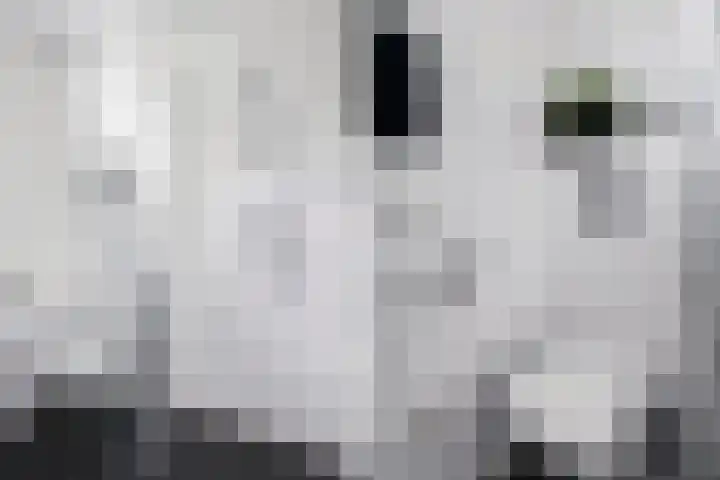 Rijnstraat 10 Alkmaar thumbnail 27