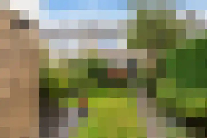 Rijnstraat 10 Alkmaar thumbnail 41
