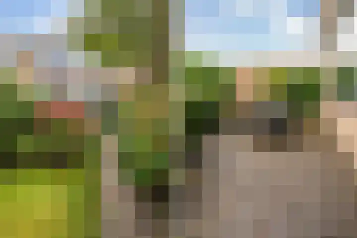 Rijnstraat 10 Alkmaar thumbnail 42
