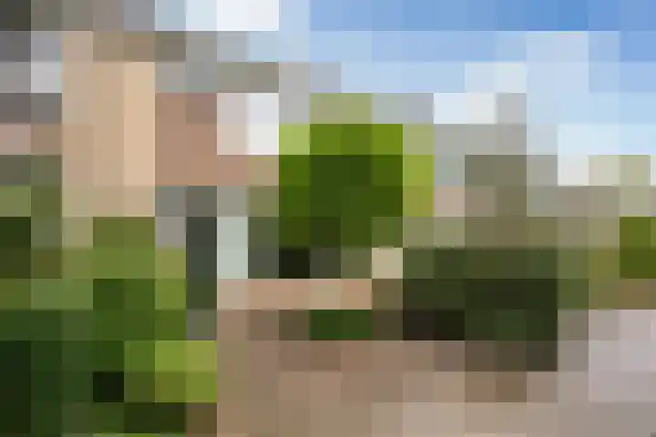 Rijnstraat 10 Alkmaar thumbnail 5