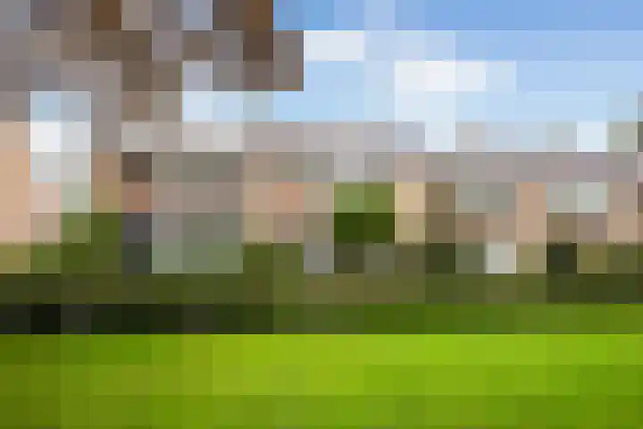 Rijnstraat 10 Alkmaar thumbnail 6