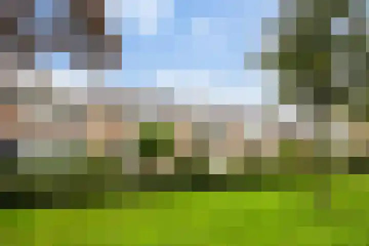 Rijnstraat 10 Alkmaar thumbnail 7