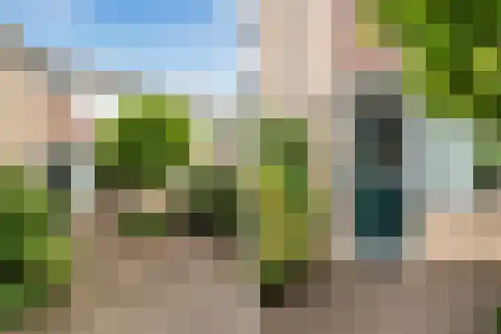 Rijnstraat 10 Alkmaar thumbnail 8