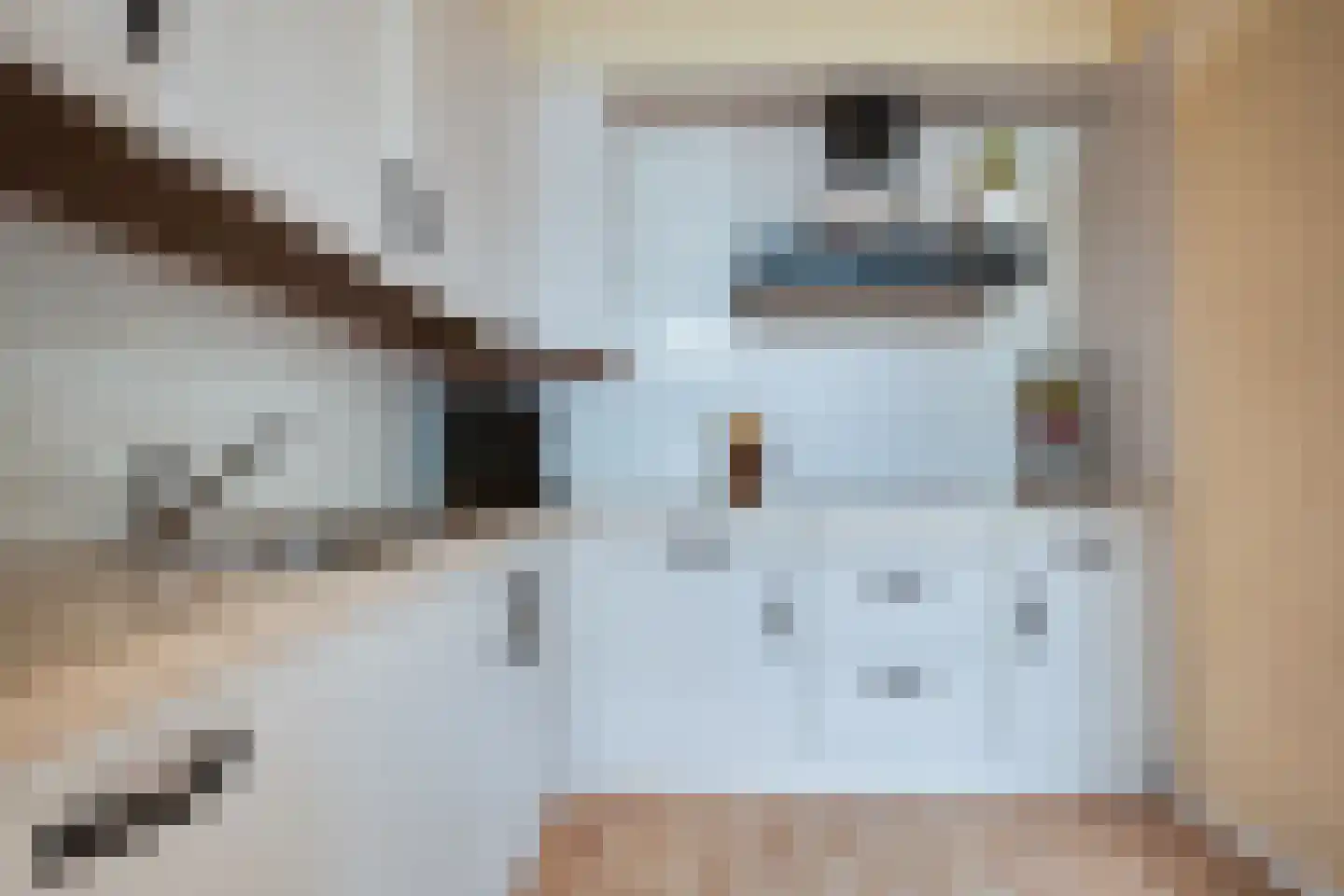 Rijnstraat 10 Assen thumbnail 10