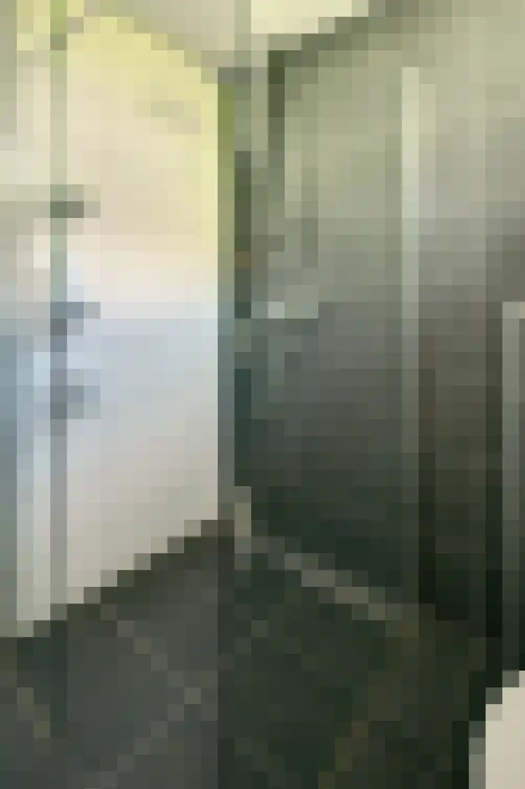 Rijnstraat 10 Assen thumbnail 22