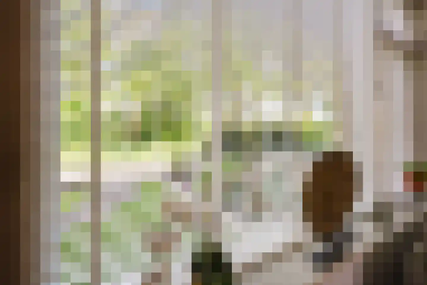 Rijnstraat 10 Assen thumbnail 7