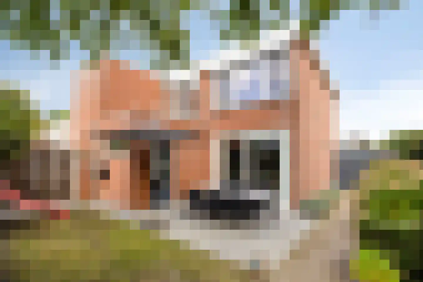 Rijnstraat 10 Budel thumbnail 21